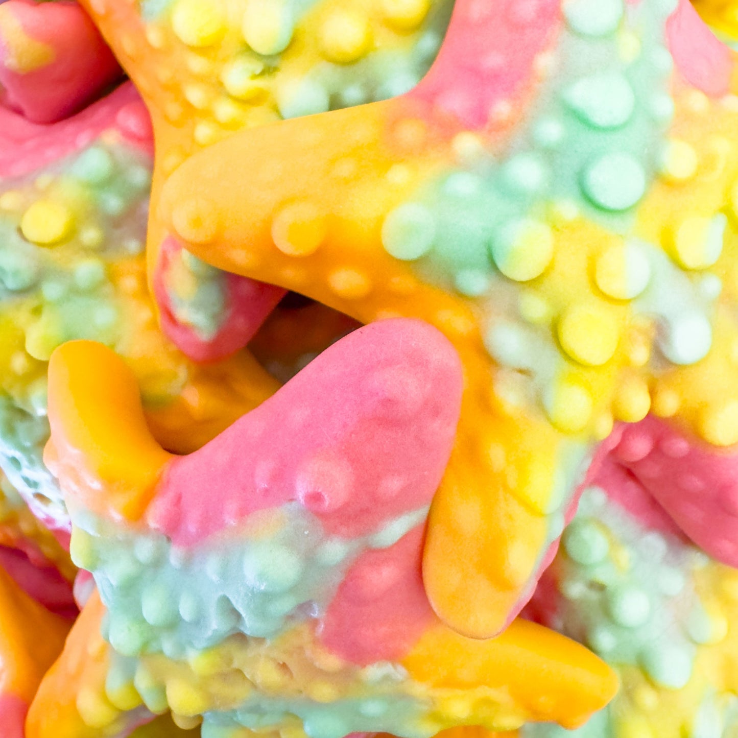 Tropical Starfish